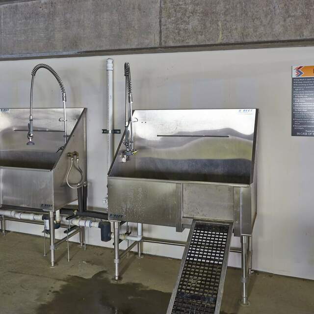 Dog wash area with two tubs