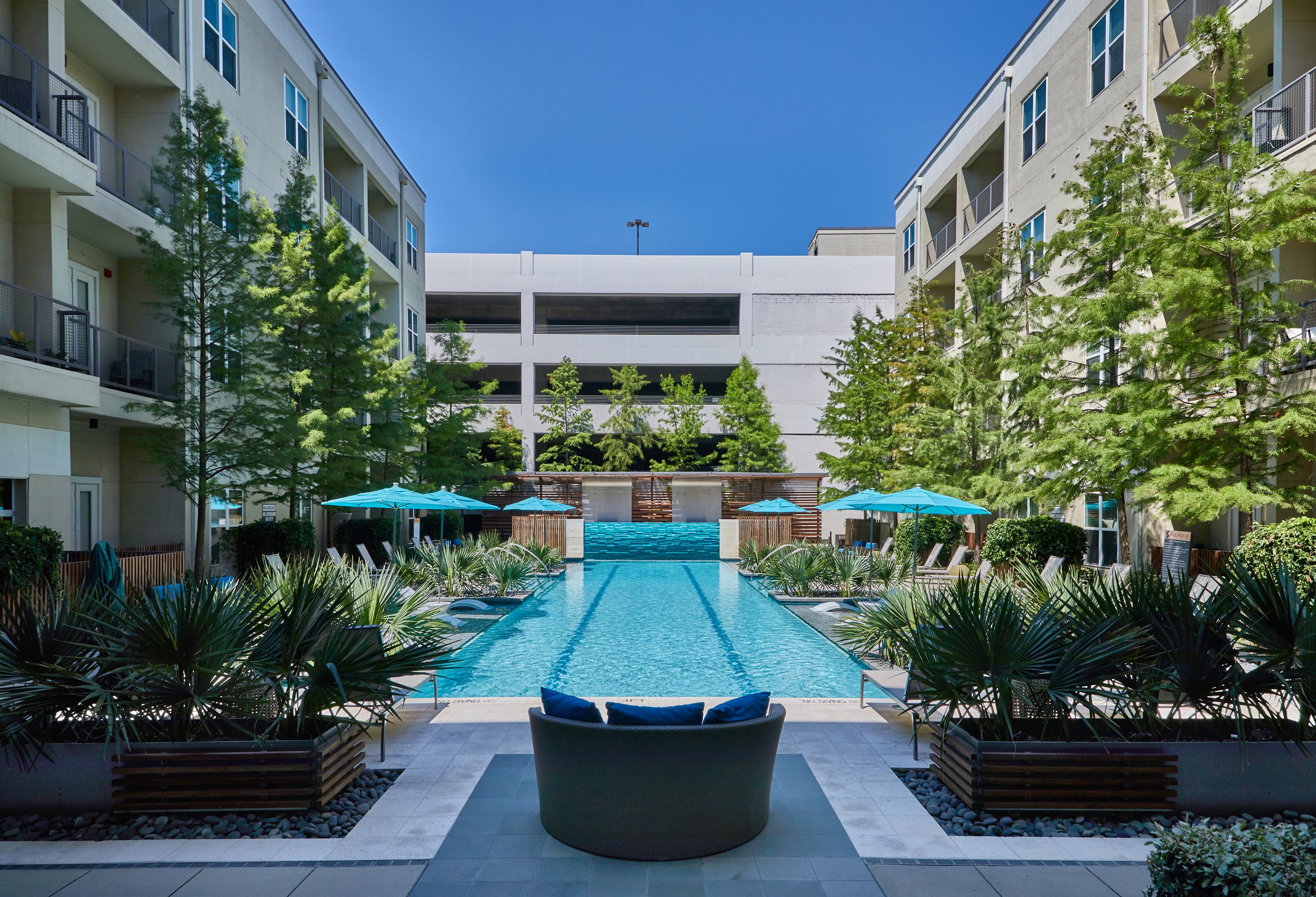 Beautiful pool area at the Standard at Cityline near Dallas surrounded by trees and lounge seating